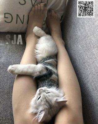 我女朋友的母亲3完整视频带翻译_BD韩语手机在线看