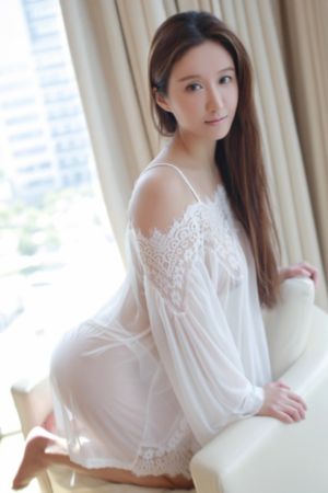 一路朝阳电视剧1到36集免费播放_国产剧超清在线观看