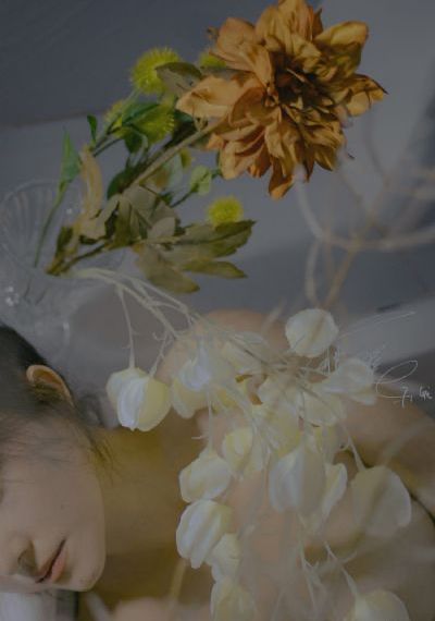 村又桑的秘密下册_HD免费在线播放