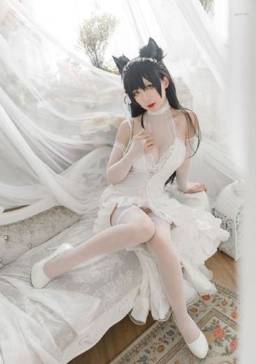 托尼贾拳霸5_BD韩语免费观看视频