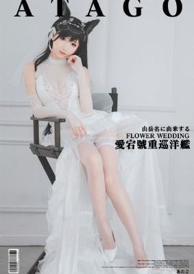 藏海花电视剧全集免费完整版_神马电影在线观看