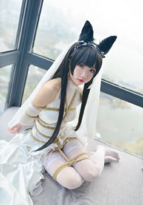 电视剧警戒线_BD英语日韩电影在线