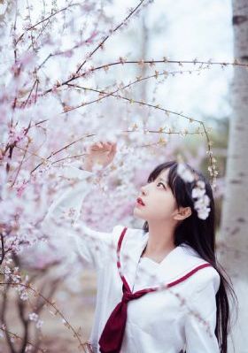 妻子5免费的电视剧完整版中文_字幕高清版在线观看