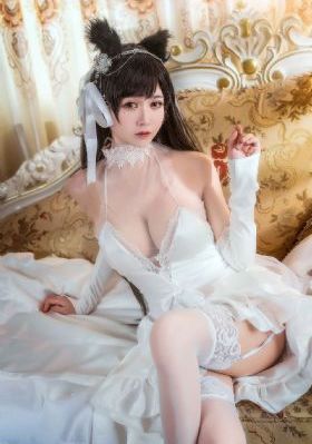 在线观看免费高清电视剧_DVD免费观看最新